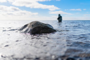 Nationalpark Ostsee