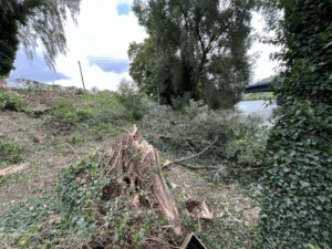 Sturmschäden