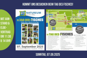 Tag des Fisches 2025